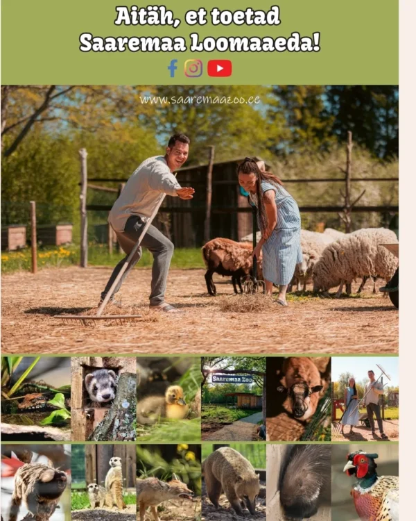 Saaremaa Loomaaia kalender
